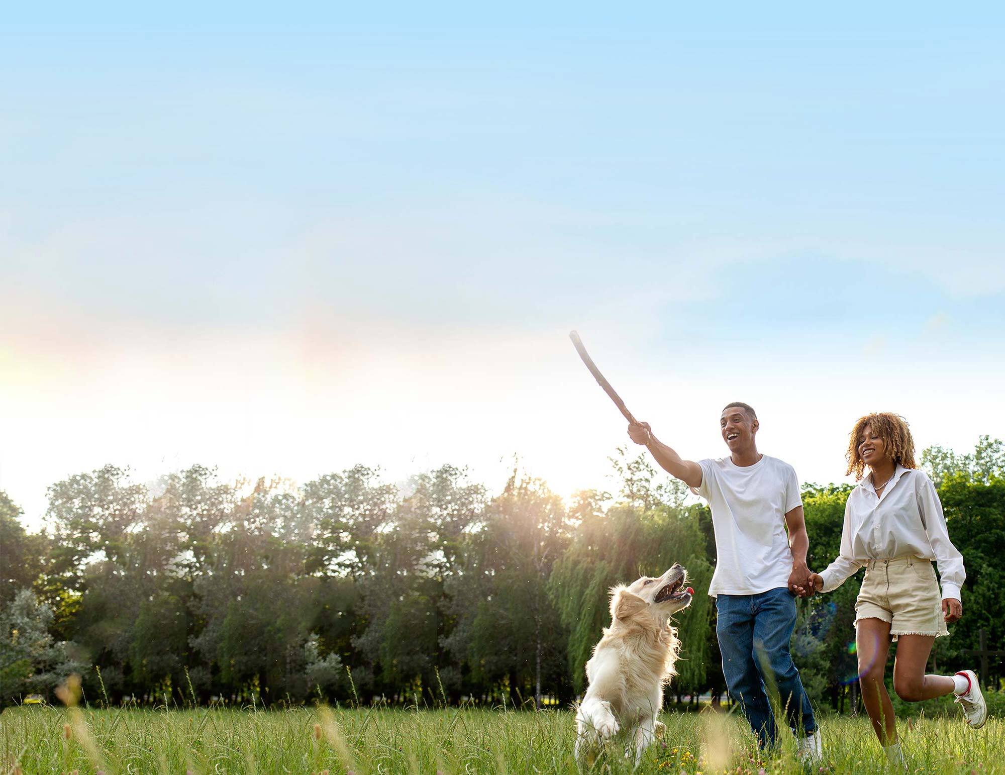 Fremont Property Management Client Testimonials